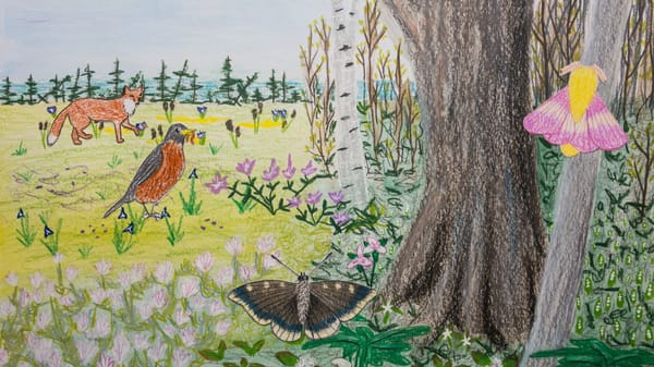Illustration in a sketchy style of a meadow and forest near an ocean with fallen trees, wildflowers, brambles, a fox, a robin, and some moths.